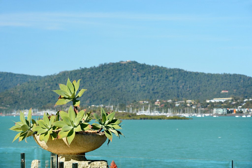 119B Botanica Drive WOODWARK 21