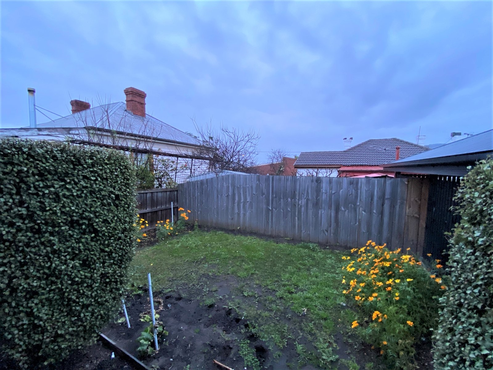 11a Clifford Street MOONAH 13