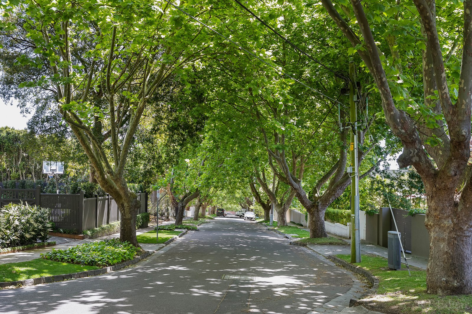 Real Estate and Property in 11A Linlithgow Road, Toorak, VIC