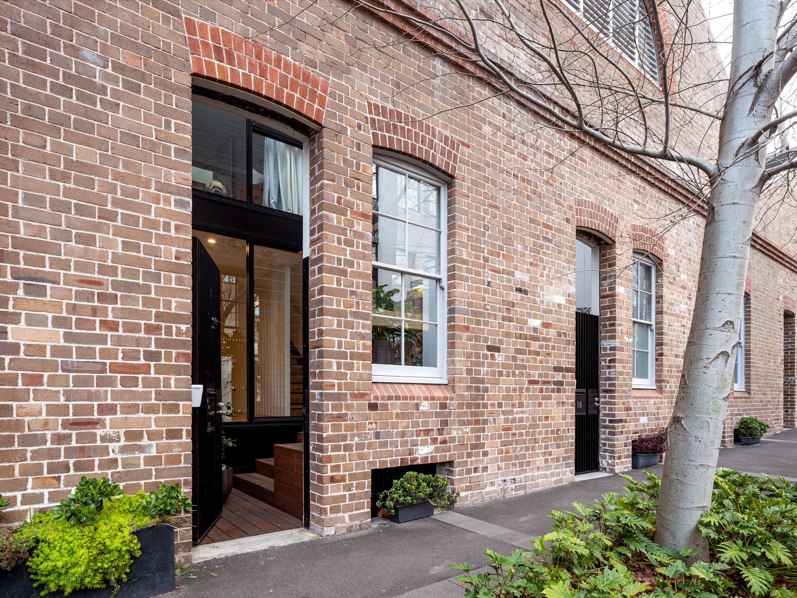 11c Australia Street, Camperdown NSW 2050