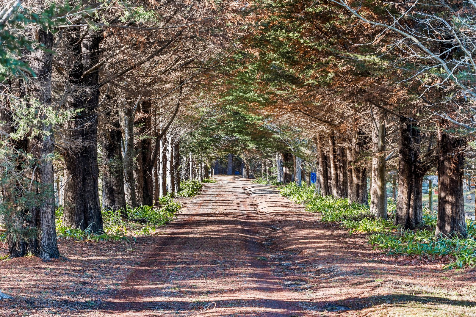 Gallery: 12-12A Peach Grove