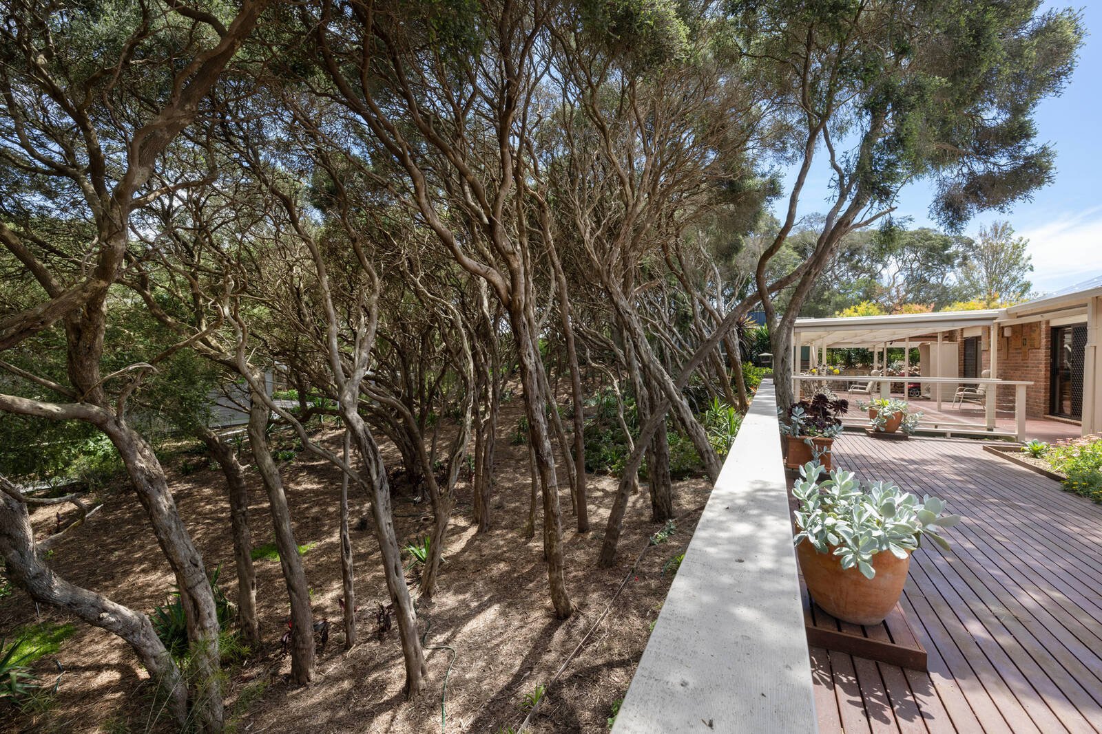 Real Estate and Property in 12-14 Sherwood Forest Drive, Rye, VIC