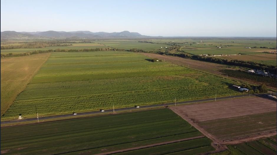 12-14 Shute Harbour Road PROSERPINE 1