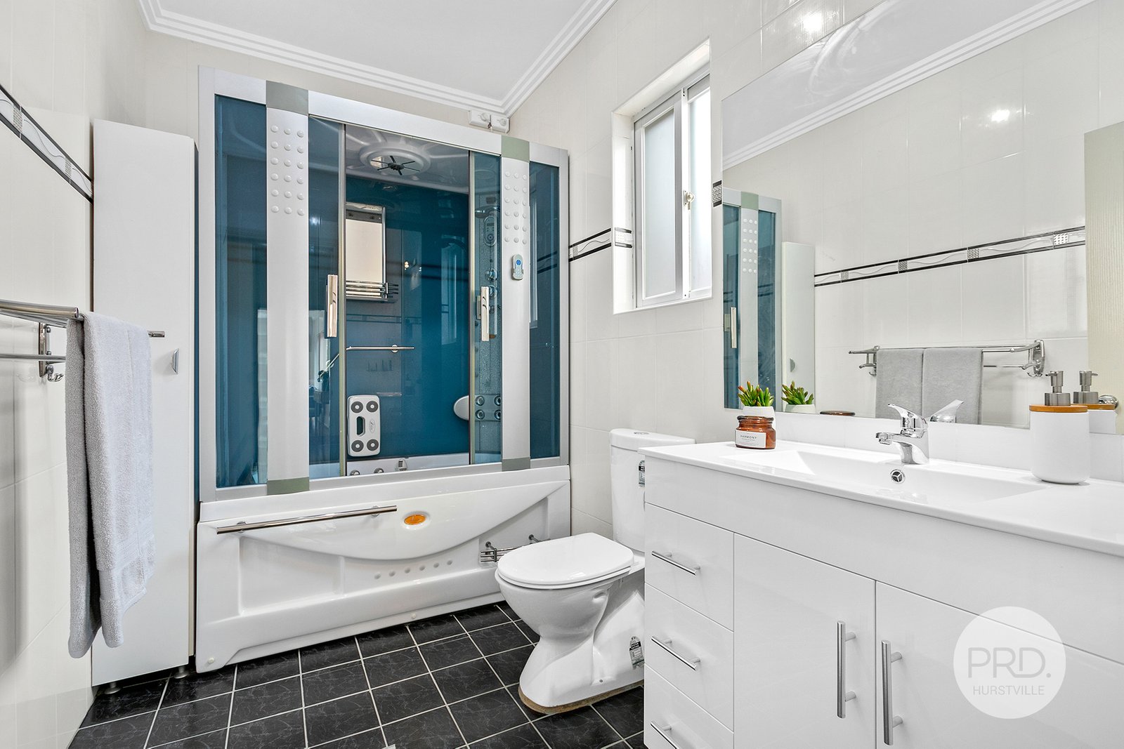 12 Alma Street HURSTVILLE 8