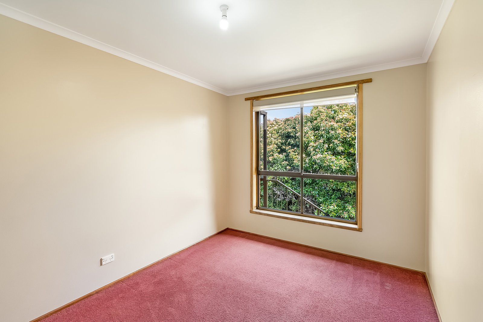 12 Anear Court LUTANA 9