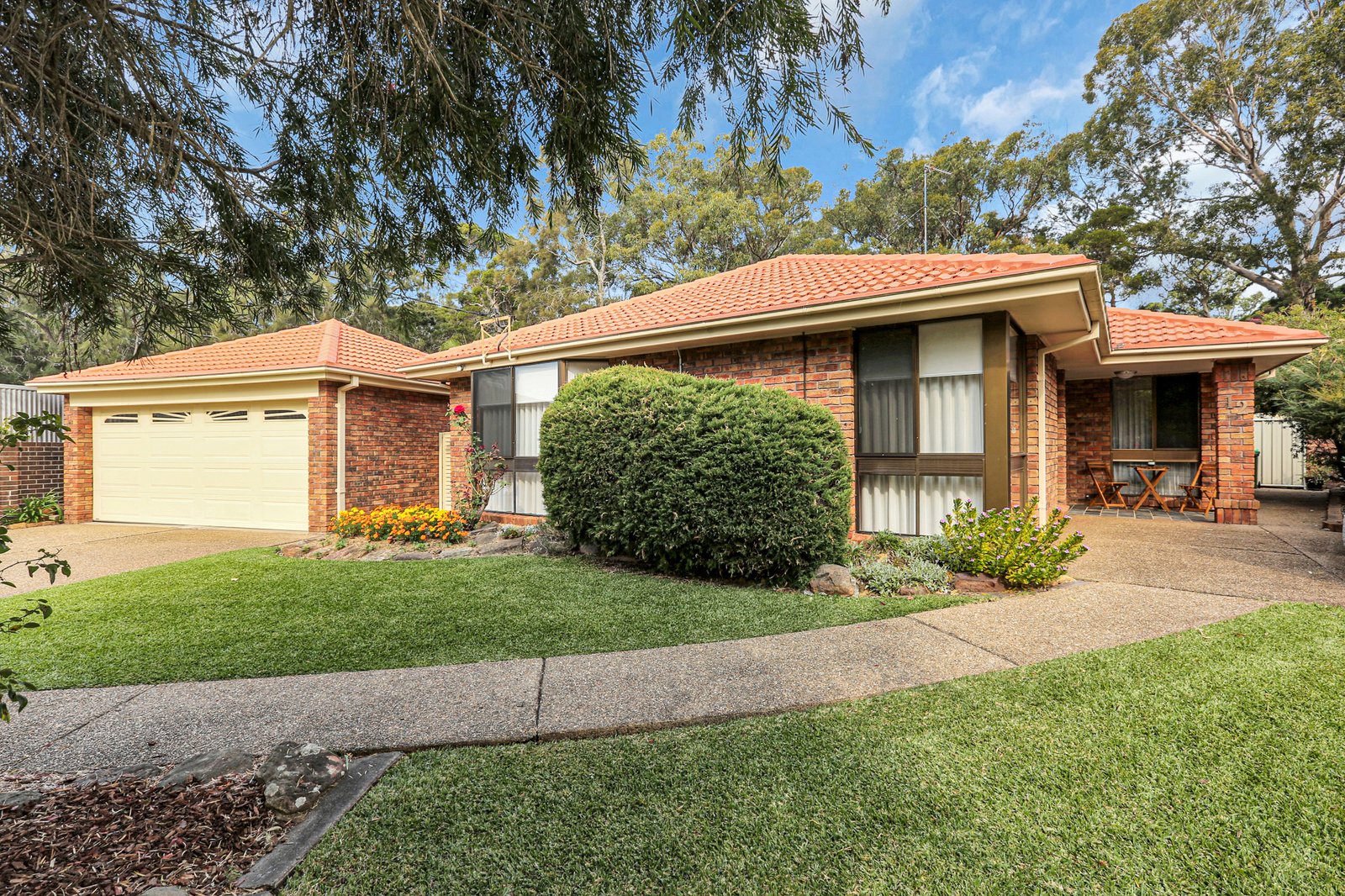 12 Anthea Place AVONDALE 1
