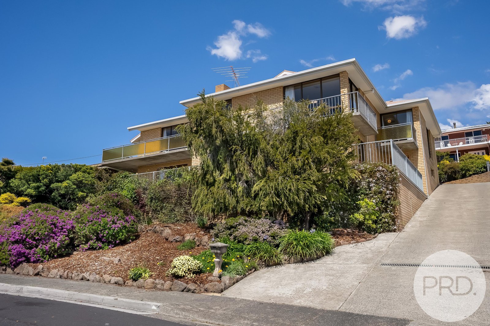 12 Apollo Road ROSETTA 25