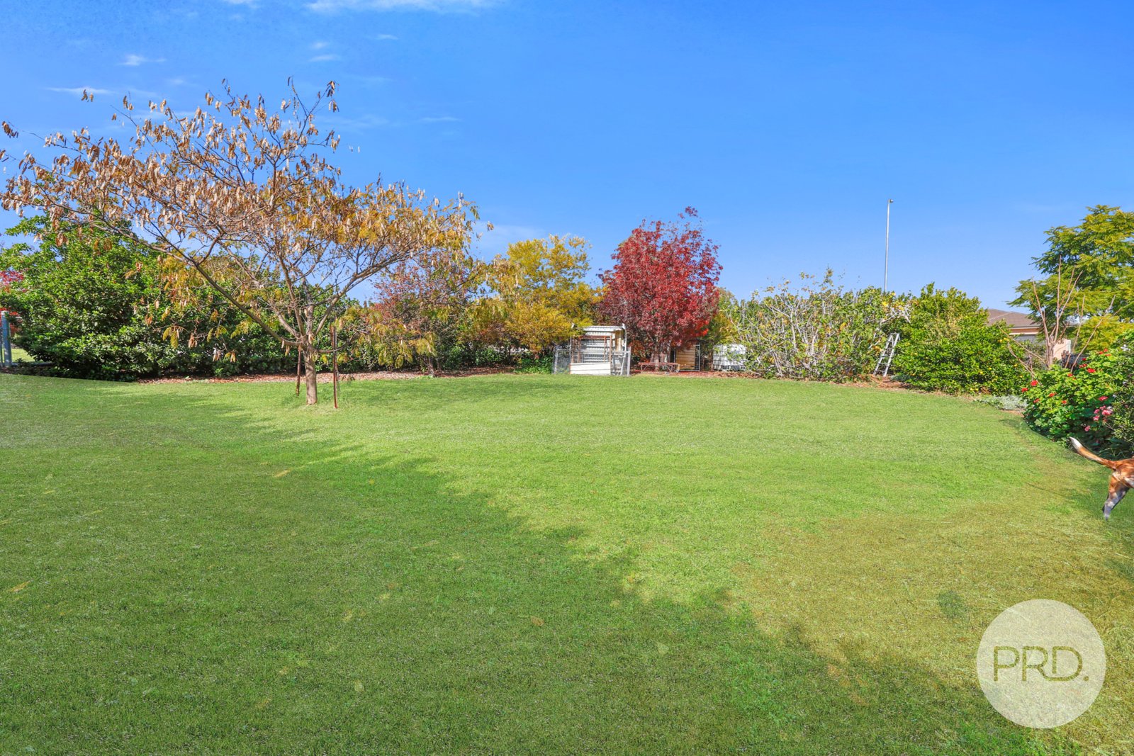 12 Blue Gum Road TAMWORTH 28