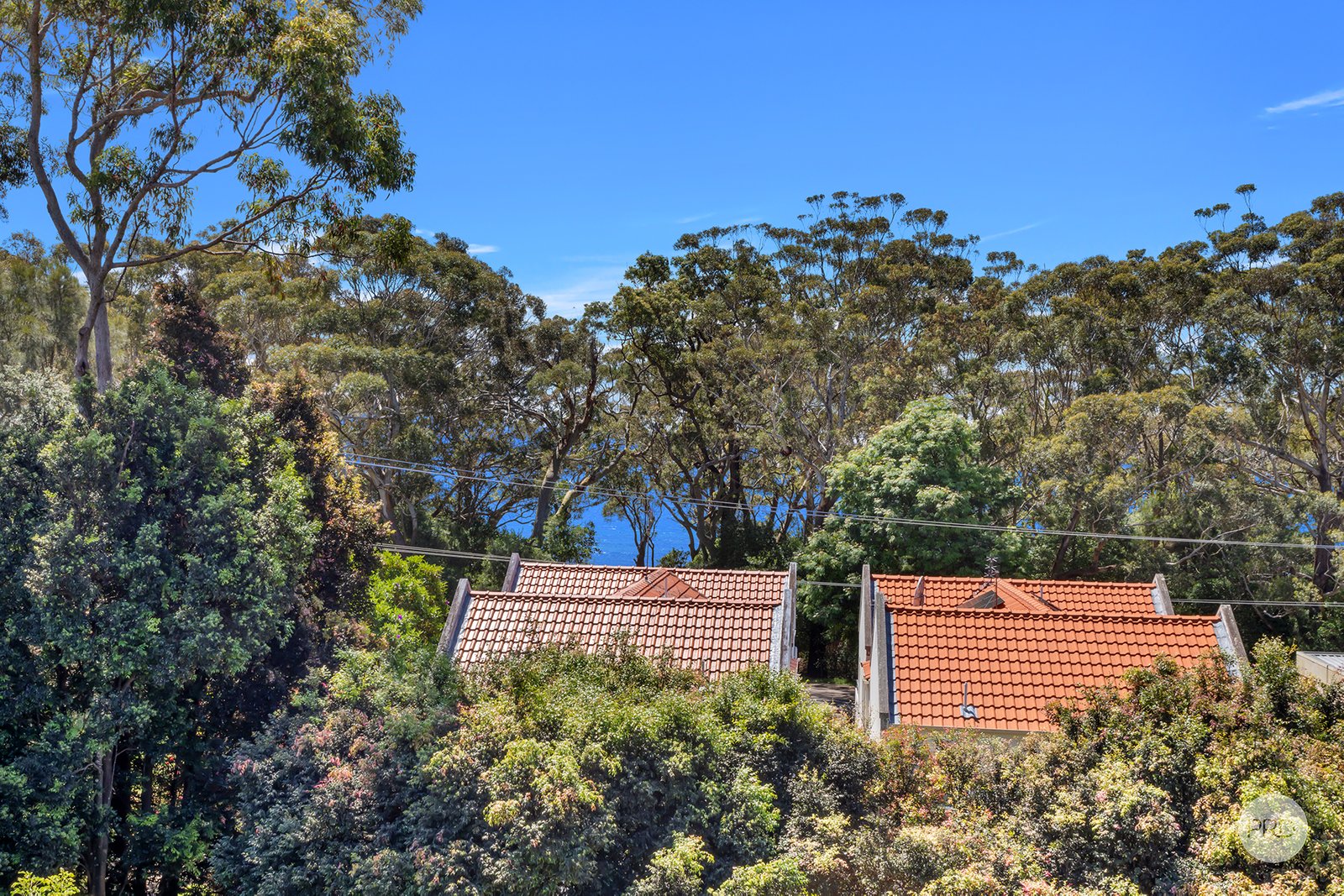 12 Bonito Street CORLETTE 4