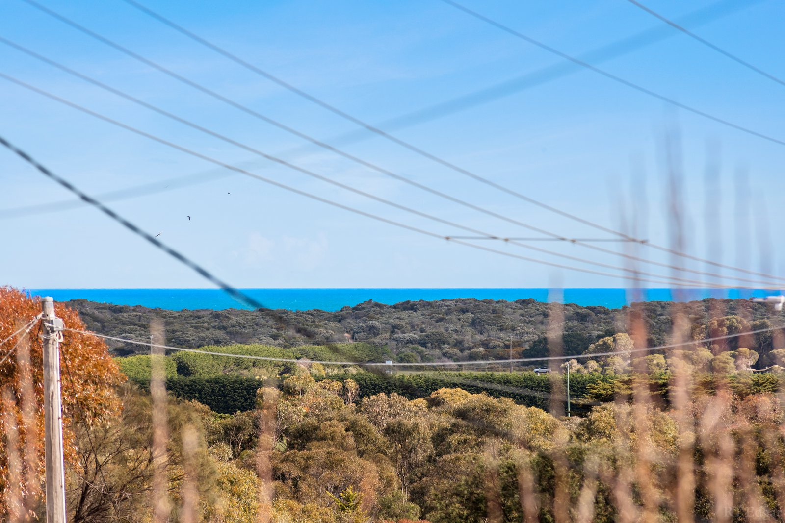 Real Estate and Property in 12 Bonnyvale Road, Ocean Grove, VIC