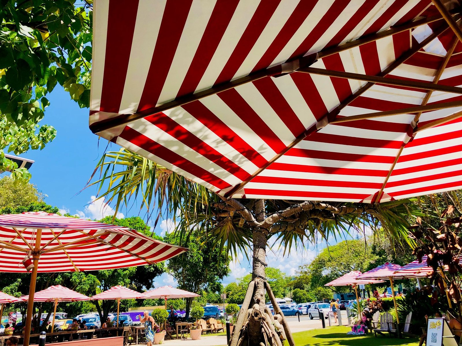 1/2 Boodera Road PALM BEACH 8