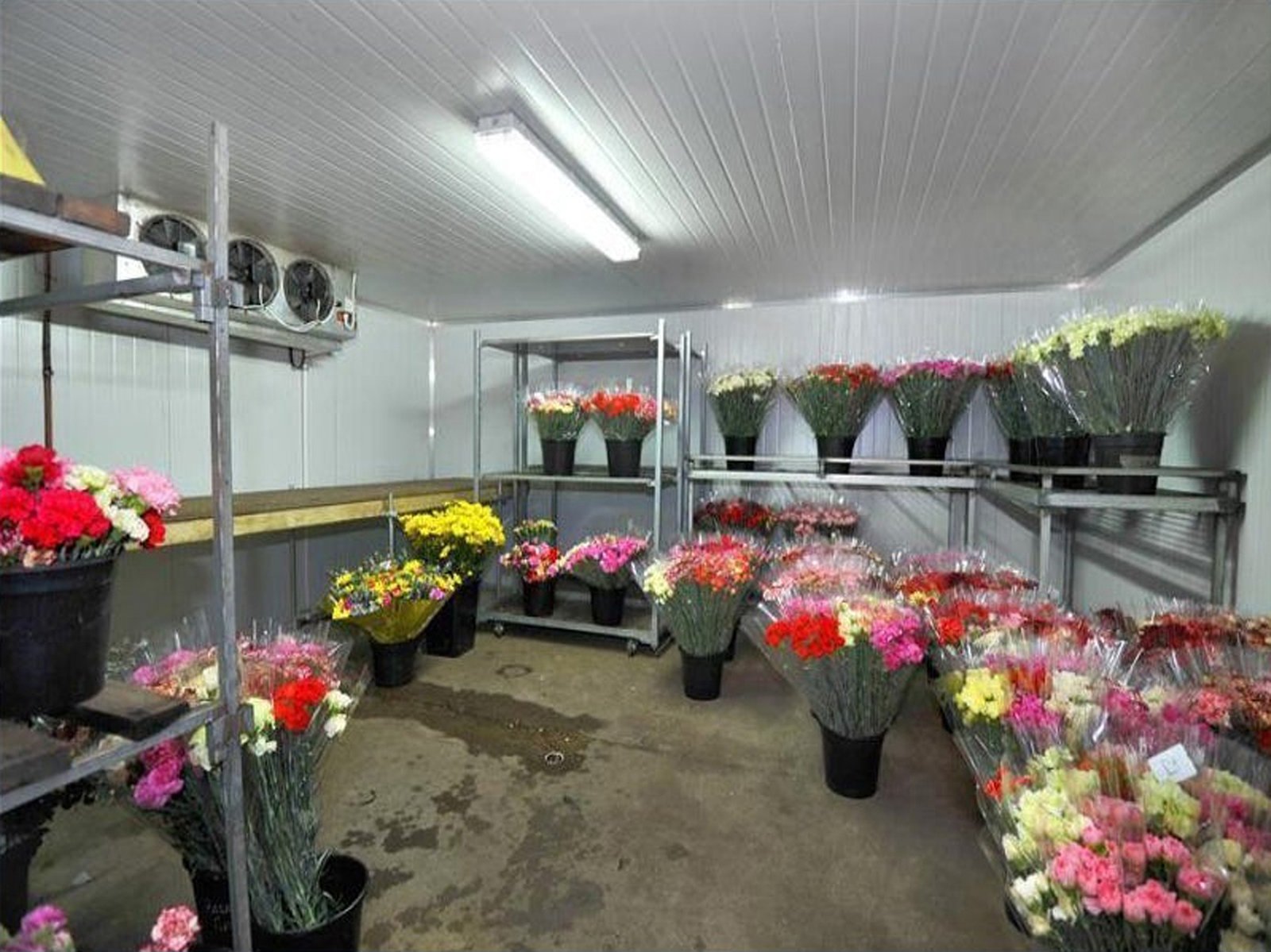 12 Brewery Tap Road WARRENHEIP 6