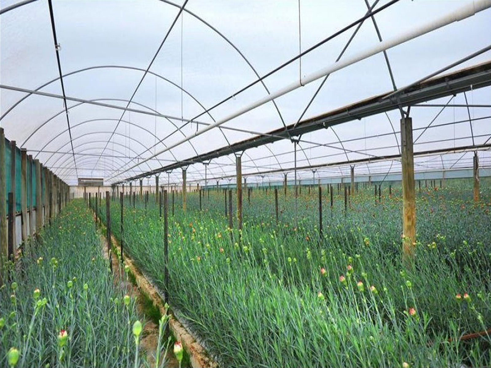 12 Brewery Tap Road WARRENHEIP 9