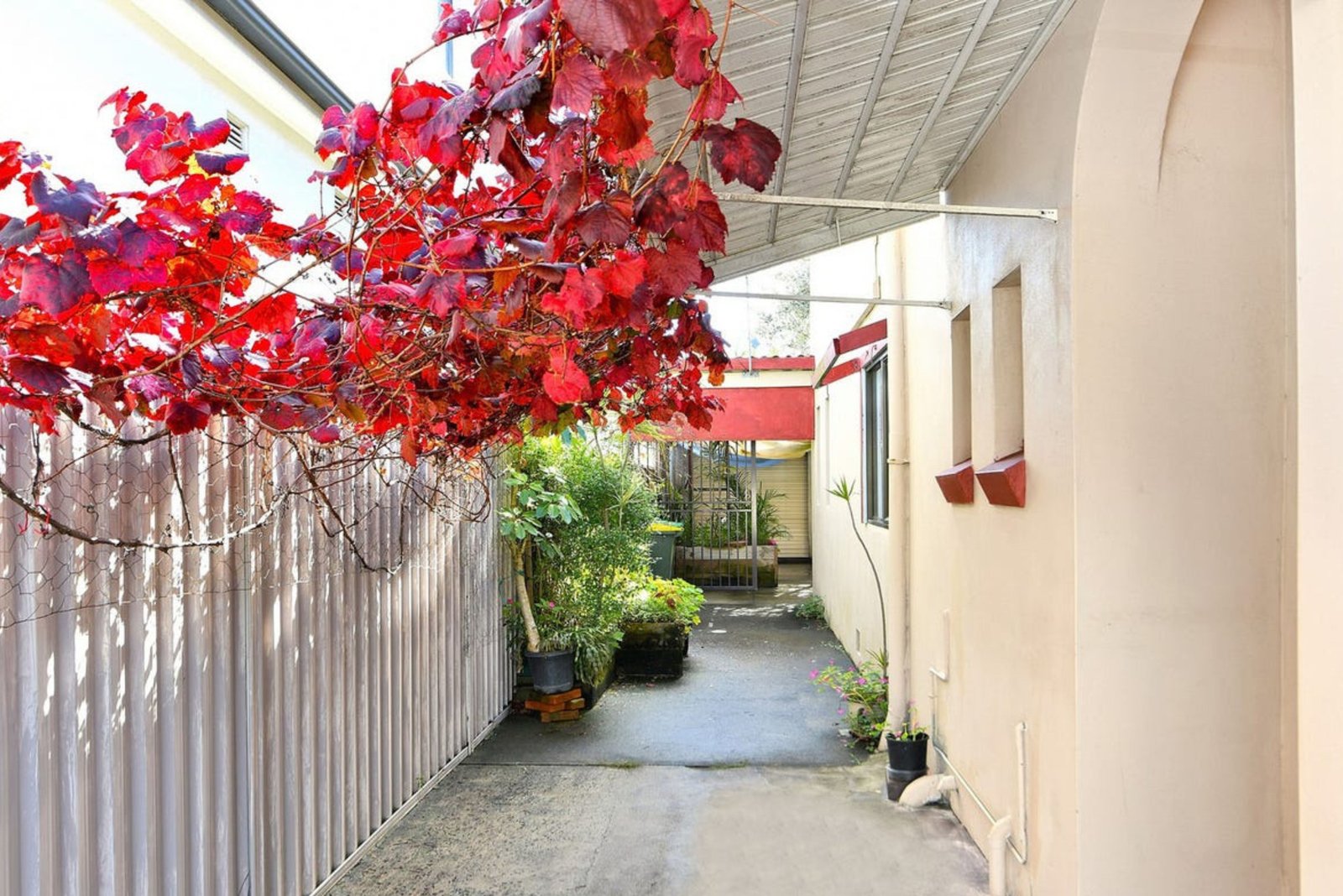 12 Broadbent Street KINGSFORD 7