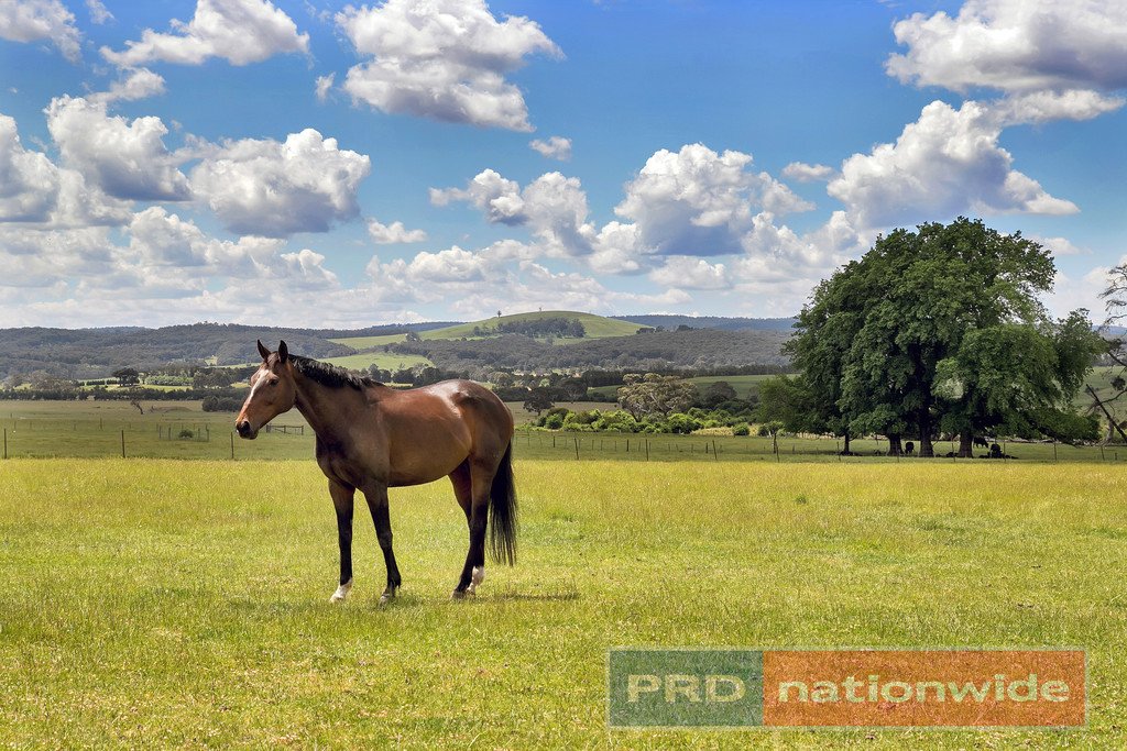 12 Bryant Court BALLAN 2