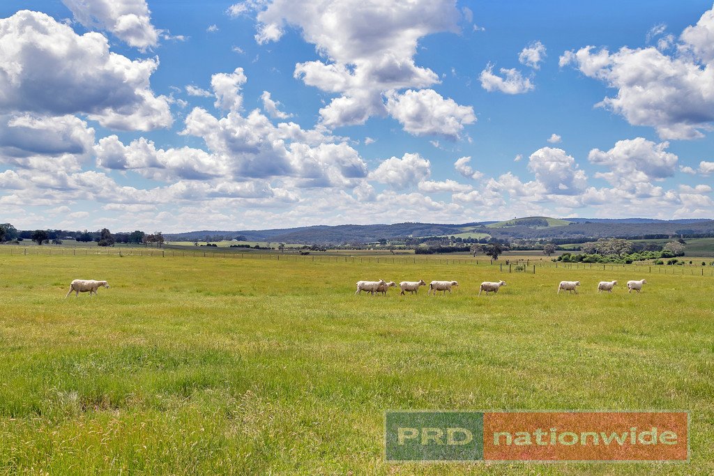 12 Bryant Court BALLAN 14