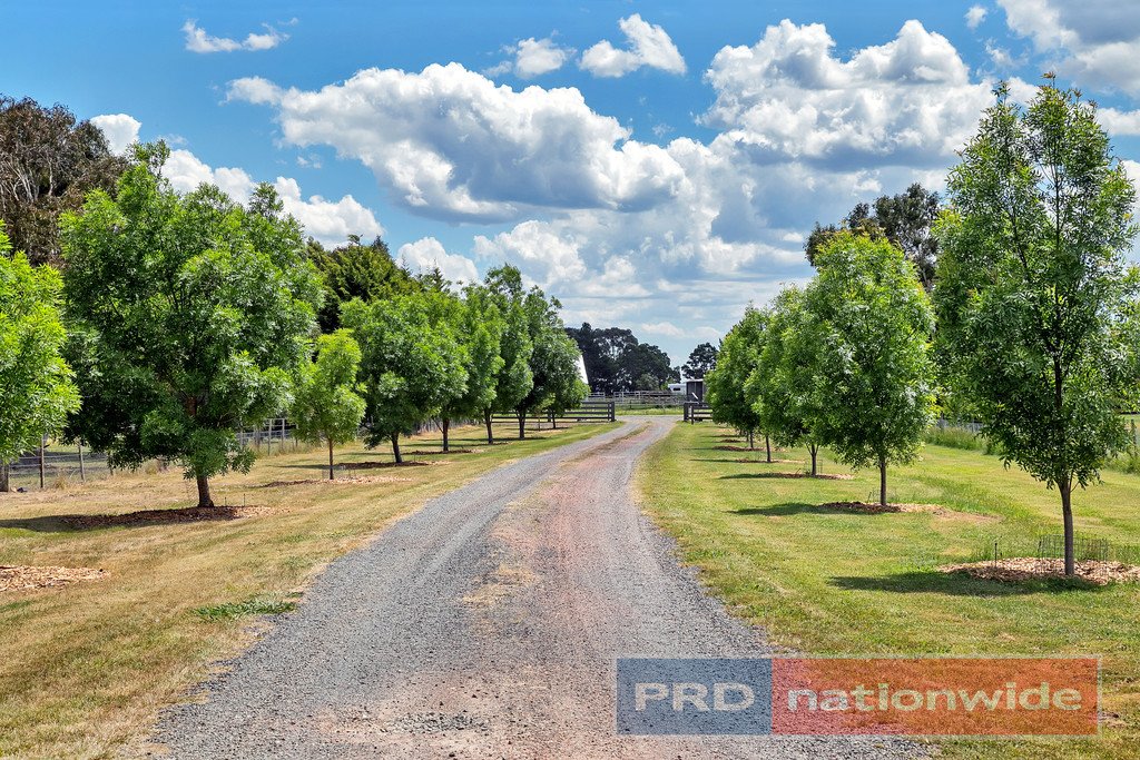 12 Bryant Court BALLAN 15