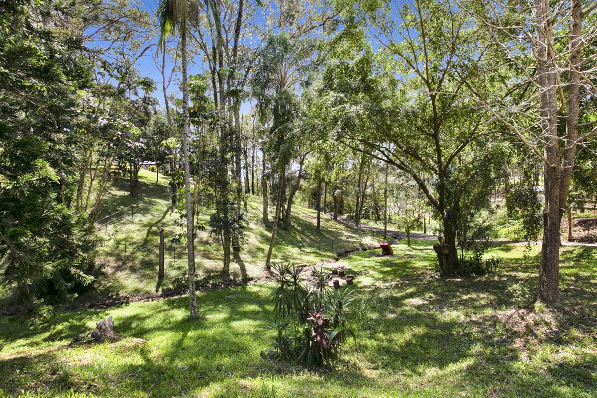 12 Carapook Crescent Tallebudgera 35