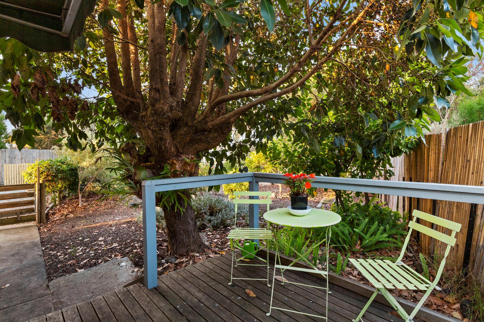 Real Estate and Property in 12 Coatsworth Avenue, St Leonards, VIC