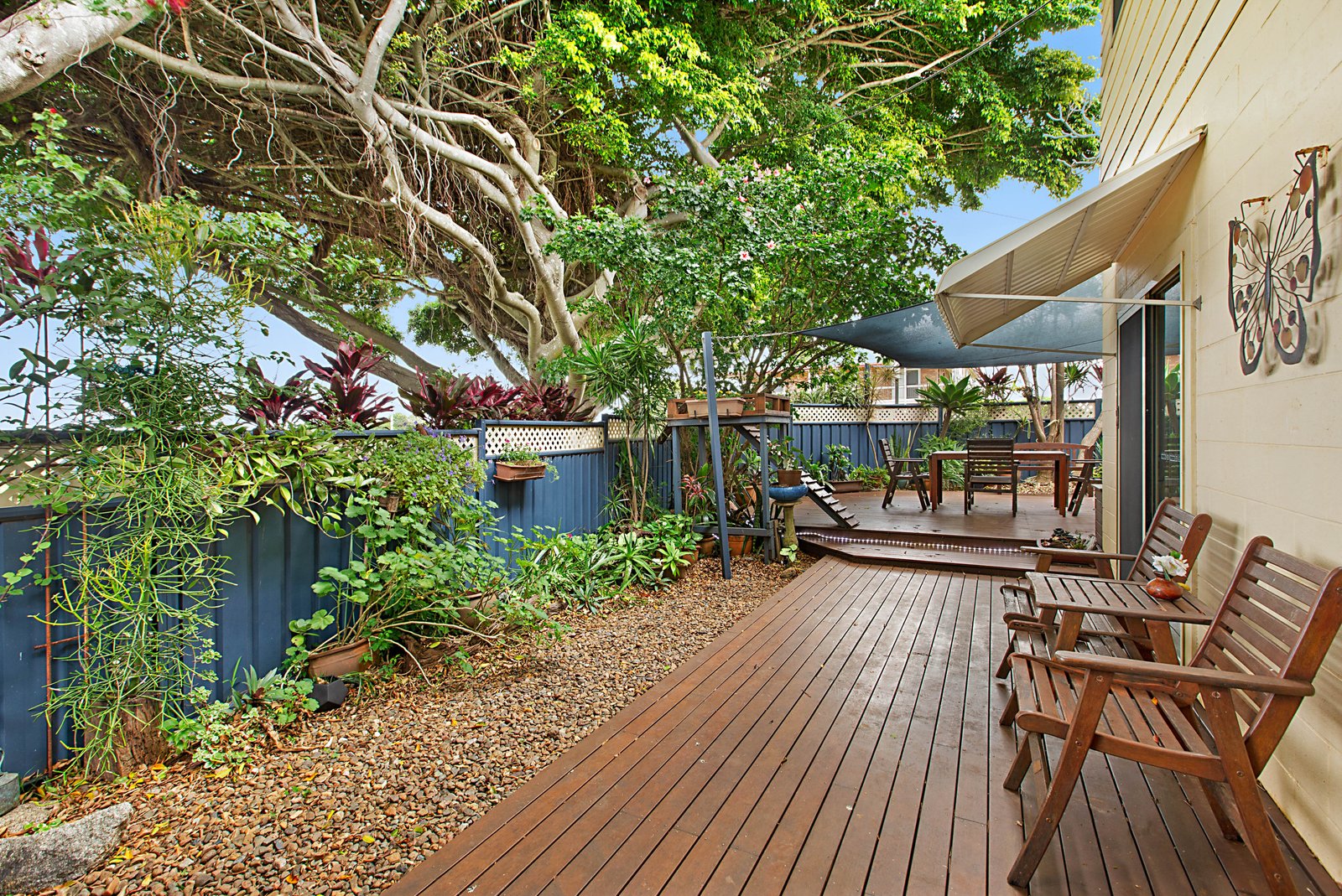 1/2 Collier Street CUDGEN 6