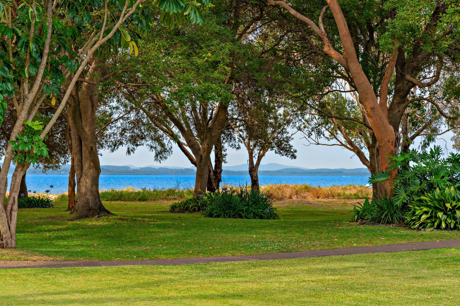 12 Corlette Point Road CORLETTE 8