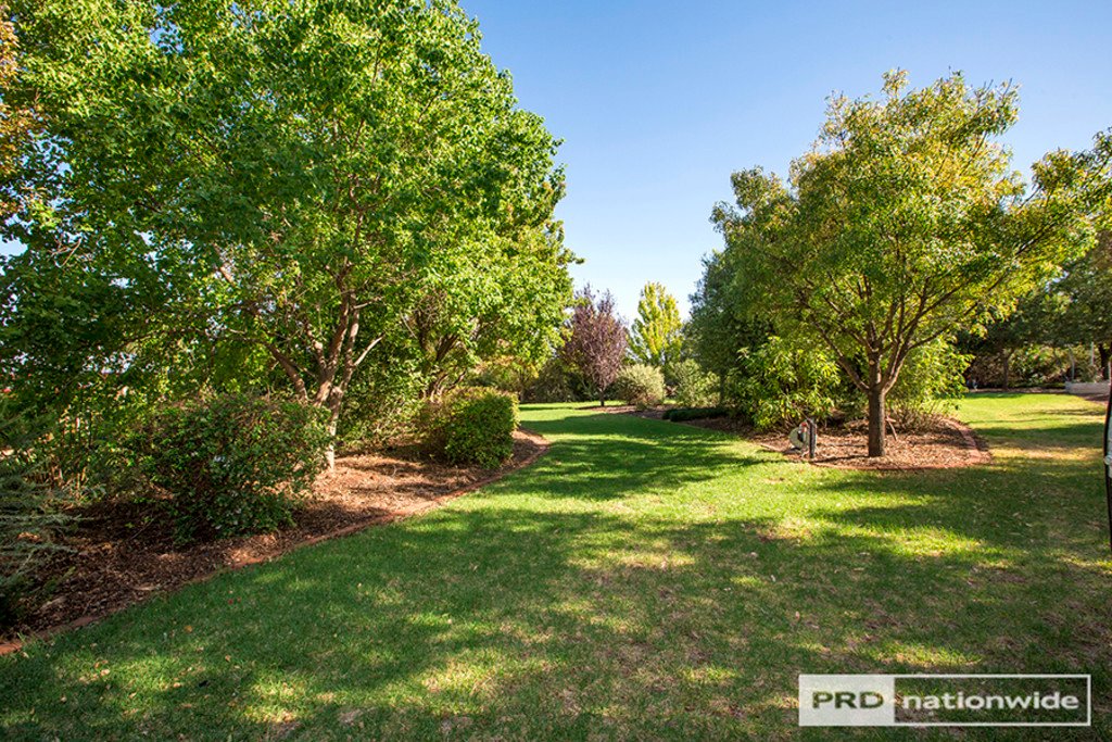 12 Daintree Circuit TAMWORTH 17