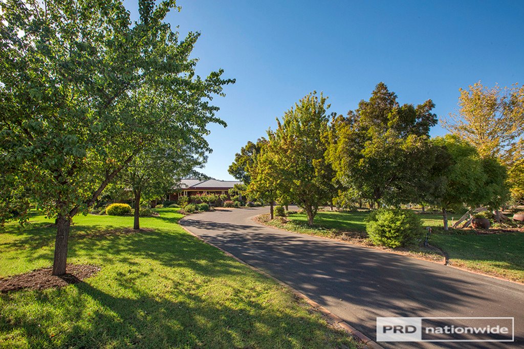 12 Daintree Circuit TAMWORTH 21