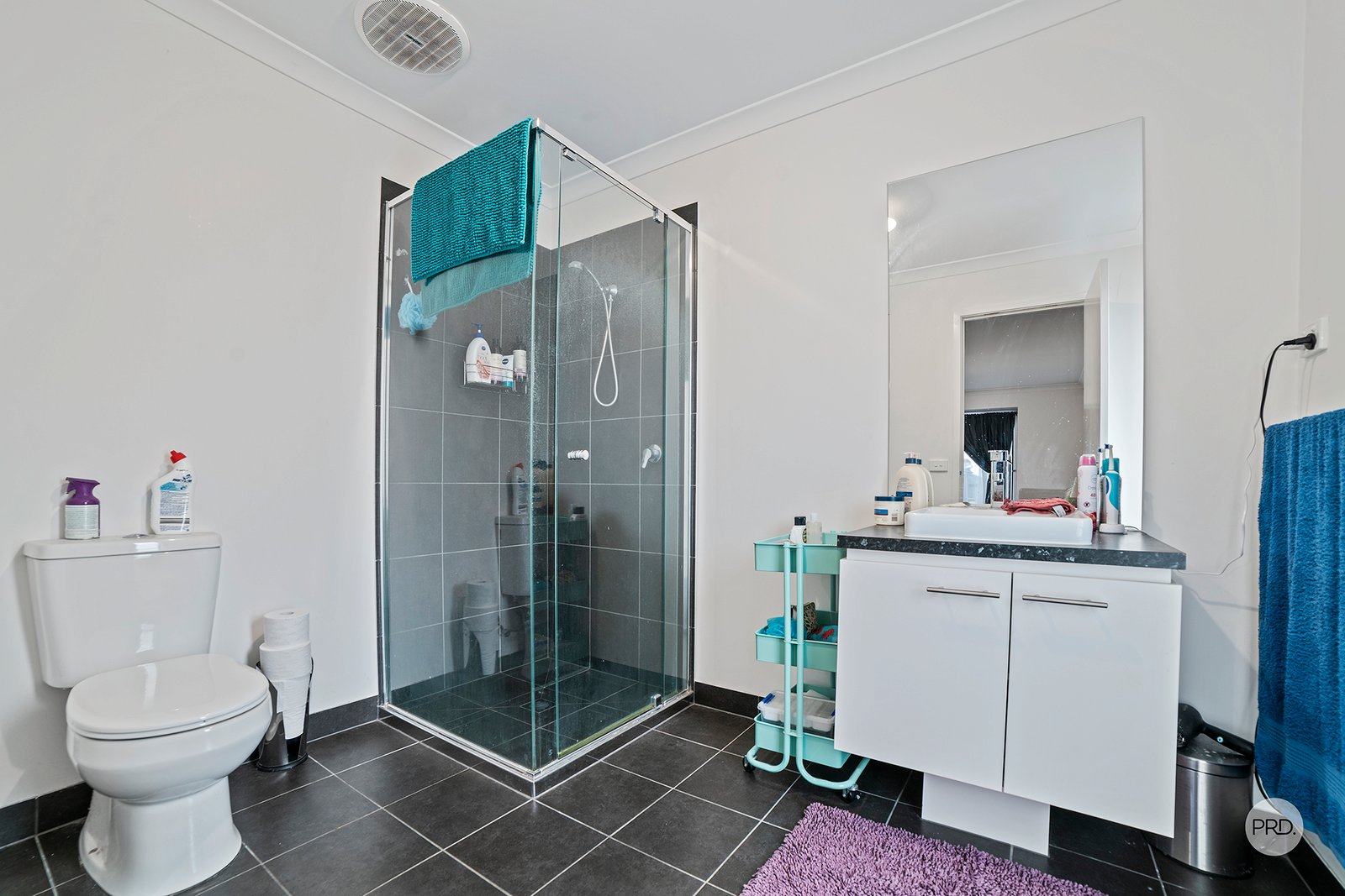 12 Daisy Street HUNTLY 9