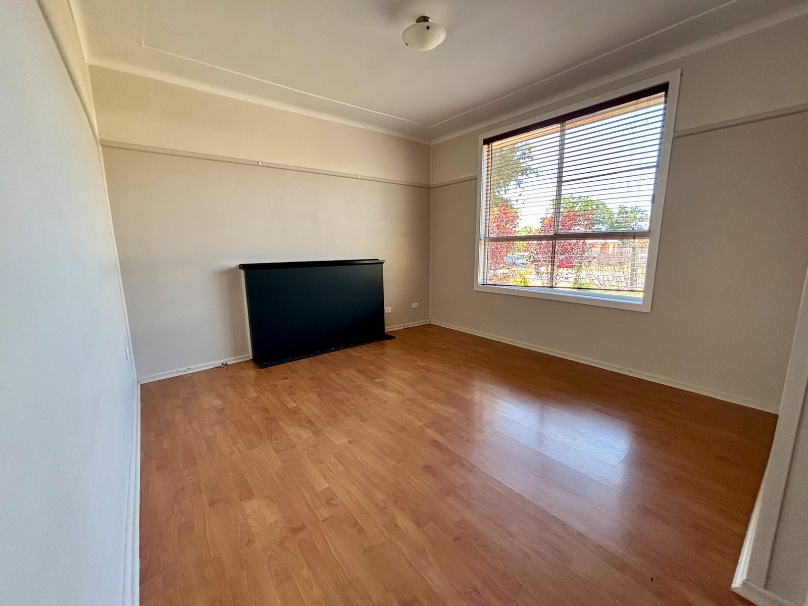 12 David Street TAMWORTH 3