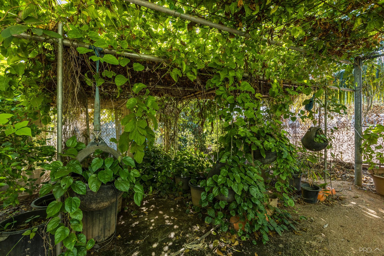 1/2 Decastilla Street MINYIRR 17