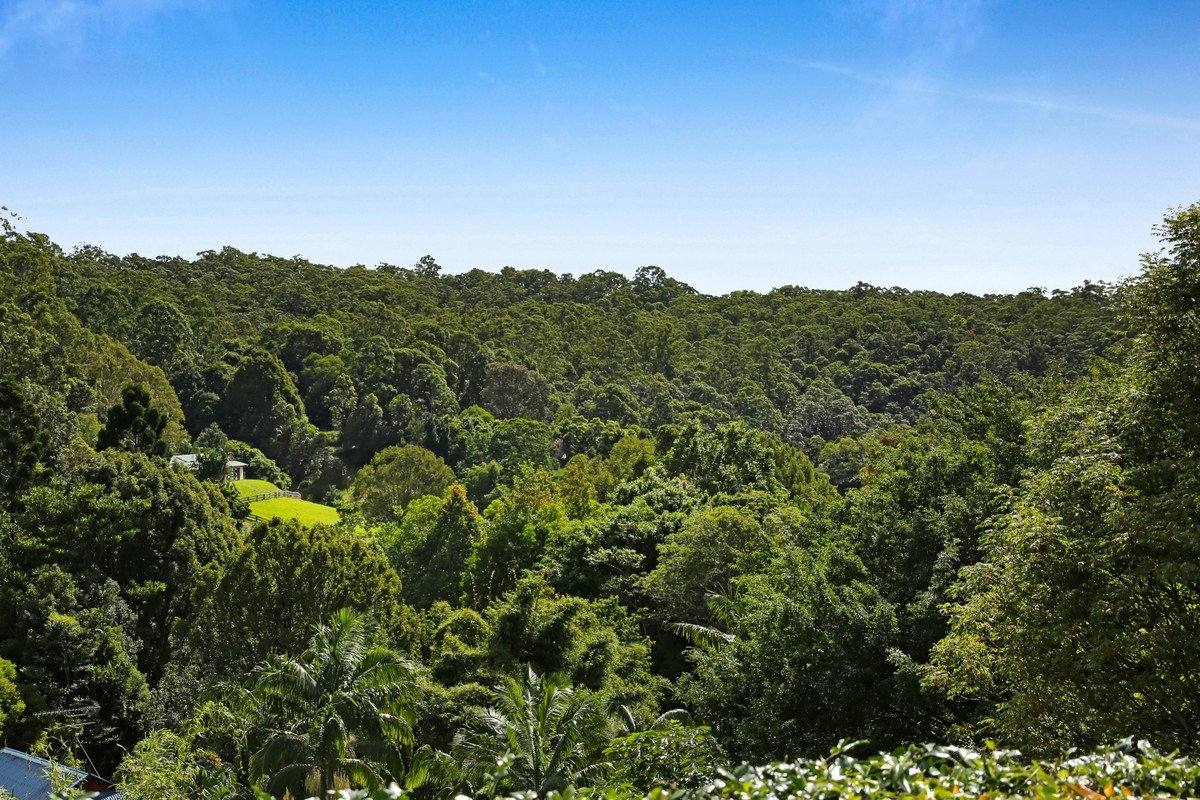 12 Des Quinlan Crescent Tallebudgera 6