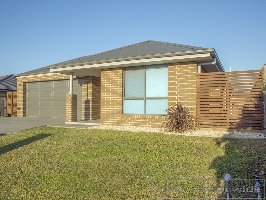 12 Dragonfly Circuit CHISHOLM 2