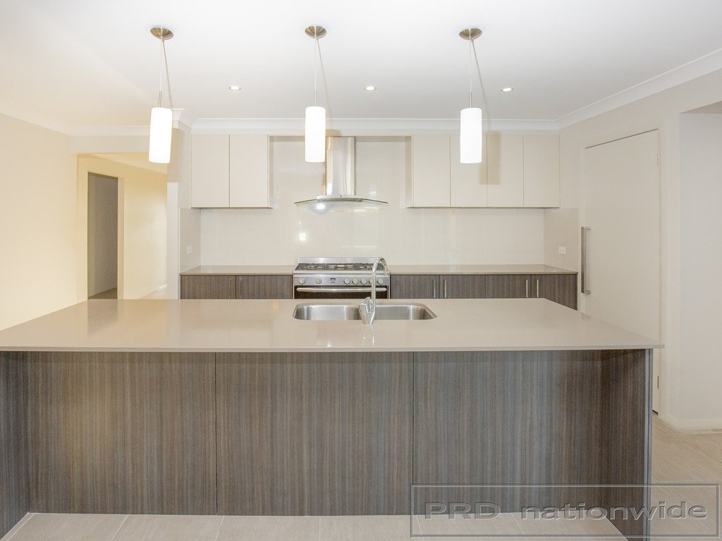 12 Dragonfly Circuit CHISHOLM 4