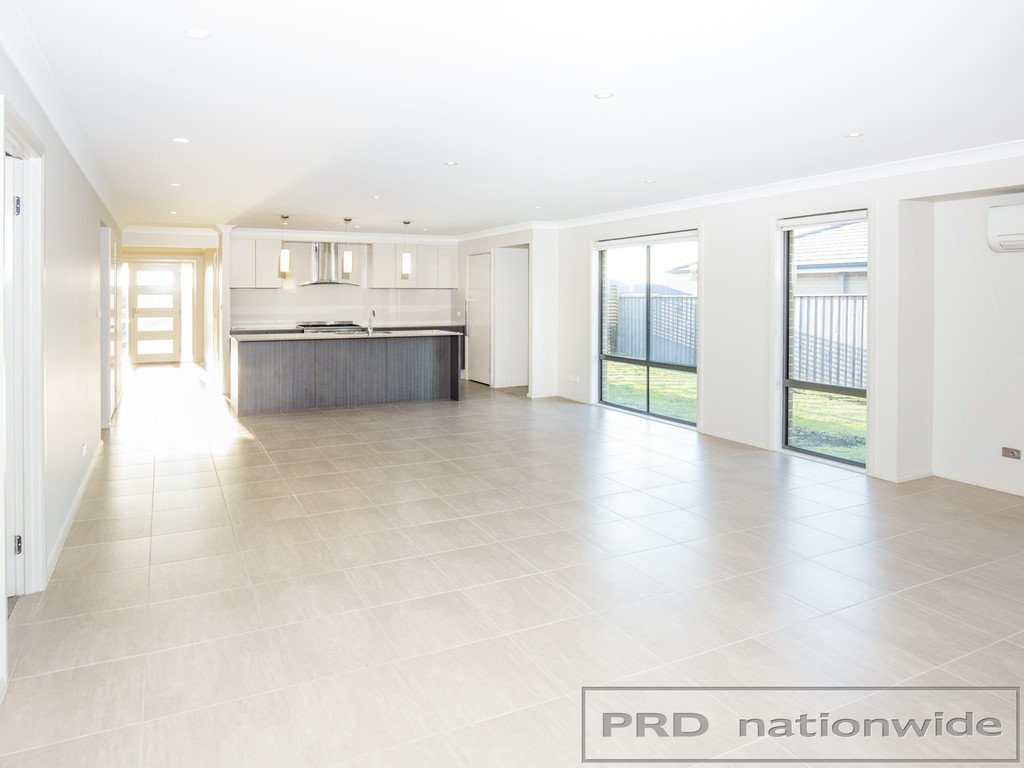 12 Dragonfly Circuit CHISHOLM 5