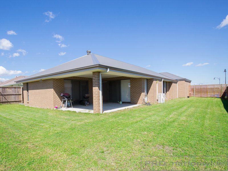 12 Dragonfly Circuit CHISHOLM 10