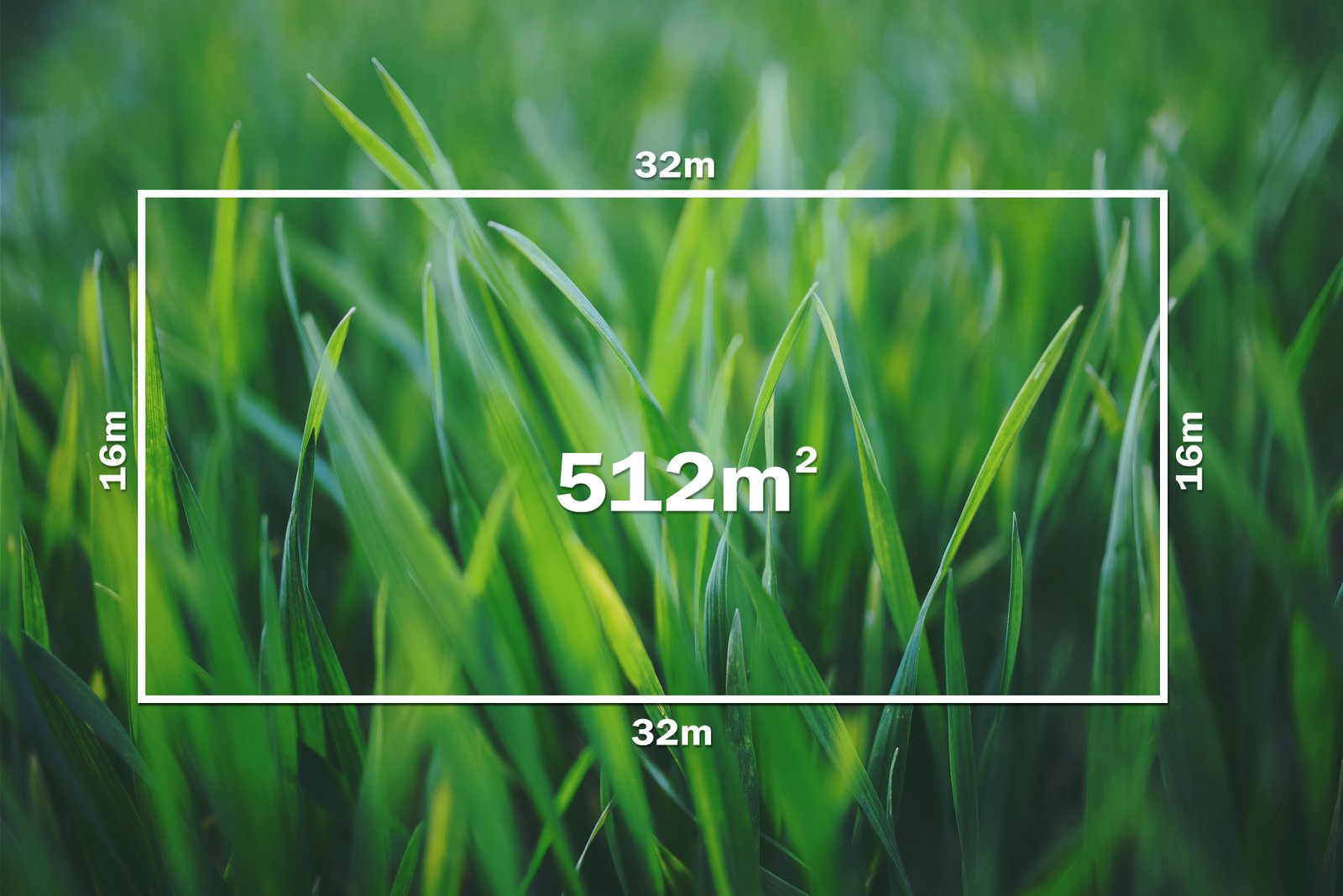 12 Dublin Street ALFREDTON 1