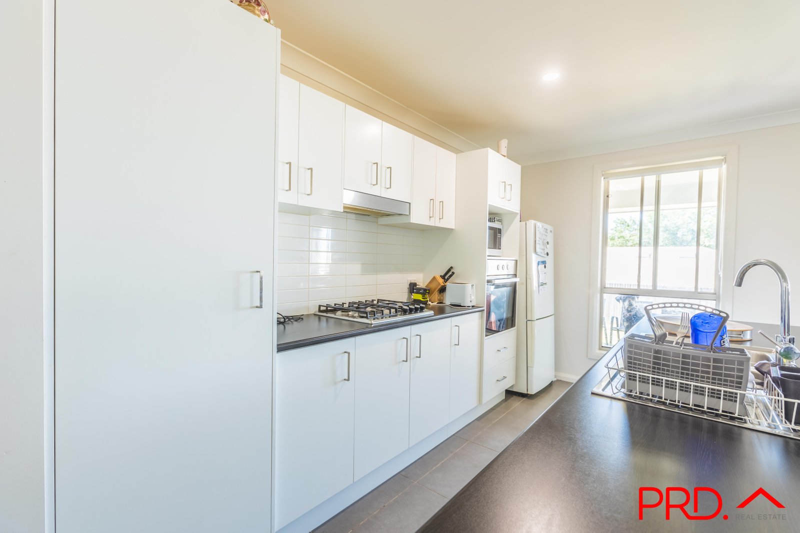 12 Francis Avenue TAMWORTH 4