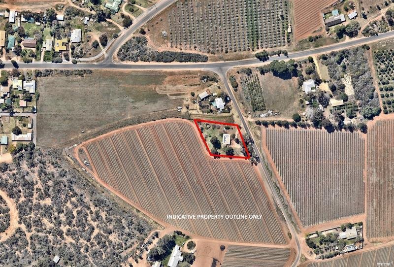 12 Freeman Road RED CLIFFS 11