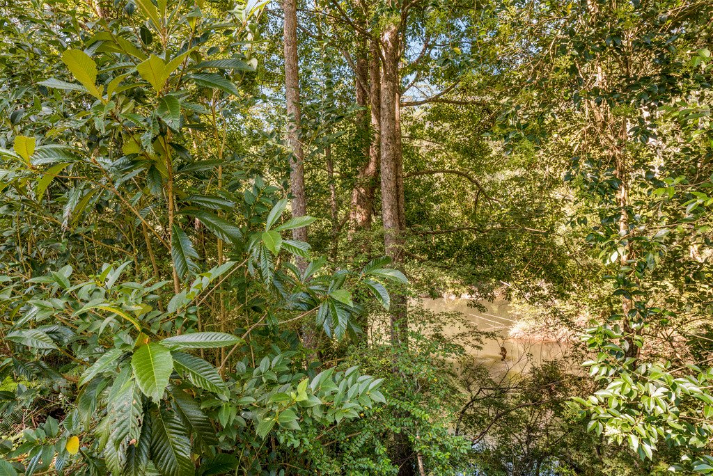 12 Gale Street CORAMBA 8