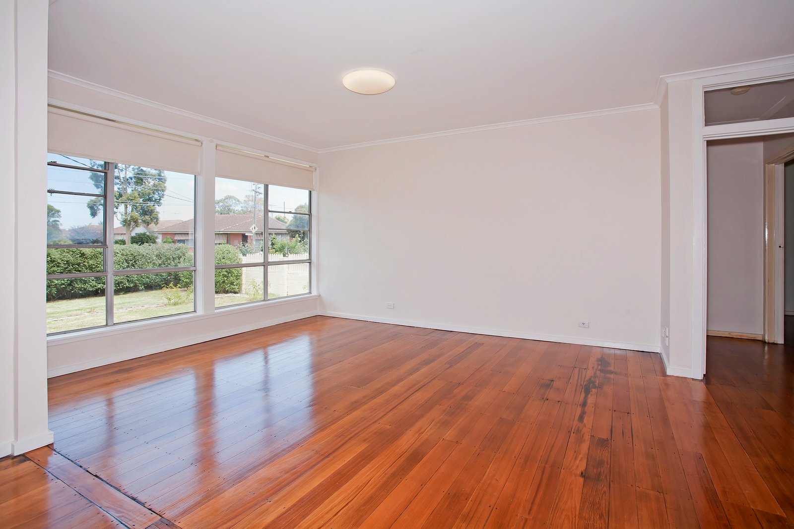 Gallery: 12 Hitchcock Street