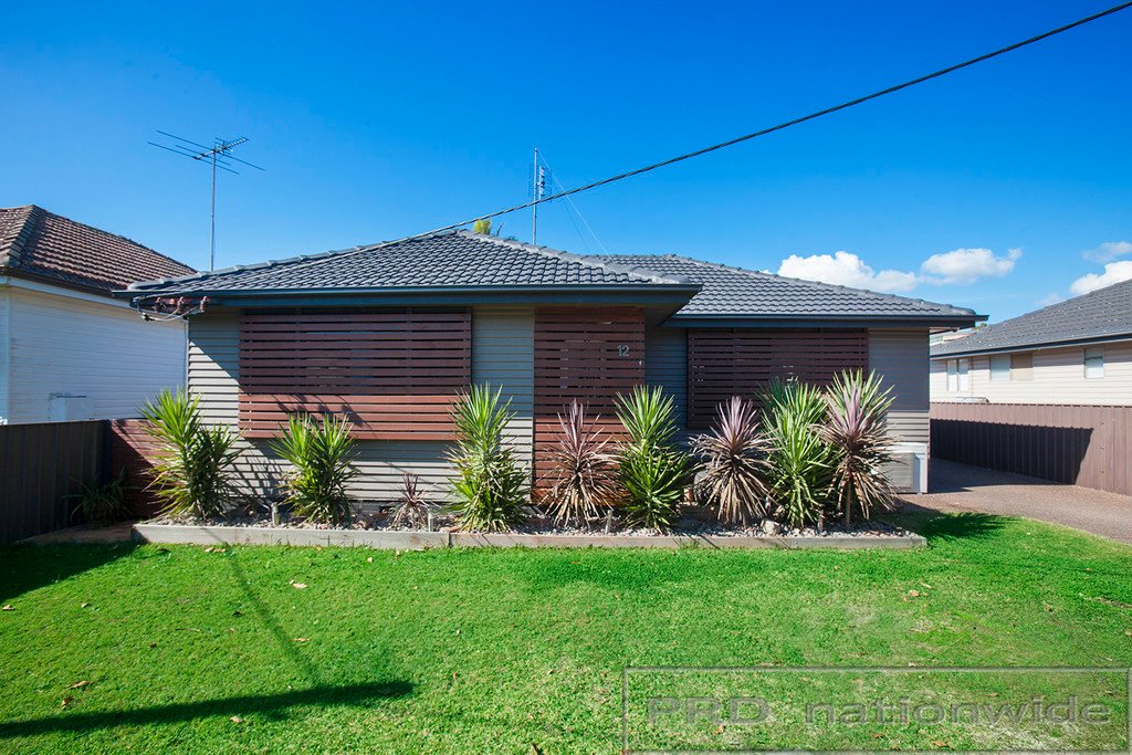12 Irving Street BERESFIELD 17