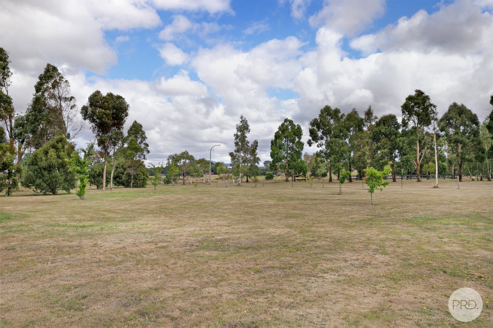 12 Kenna Road WARRENHEIP 16