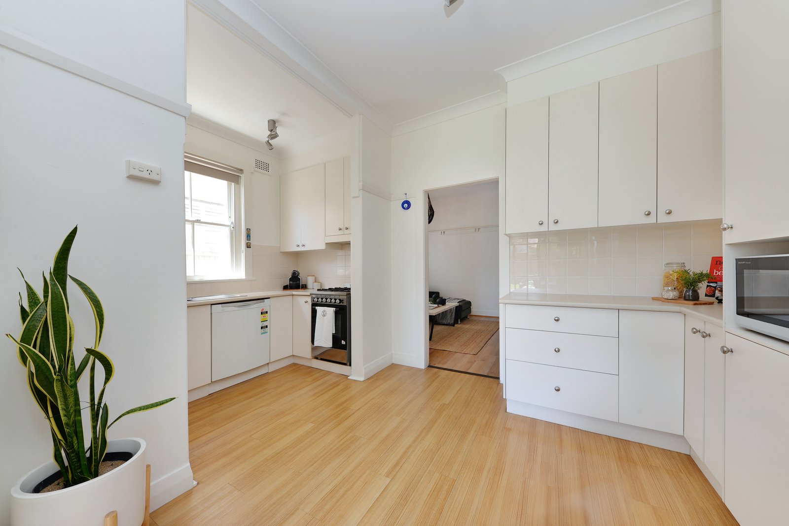 12 Kingsford Street MAROUBRA 8