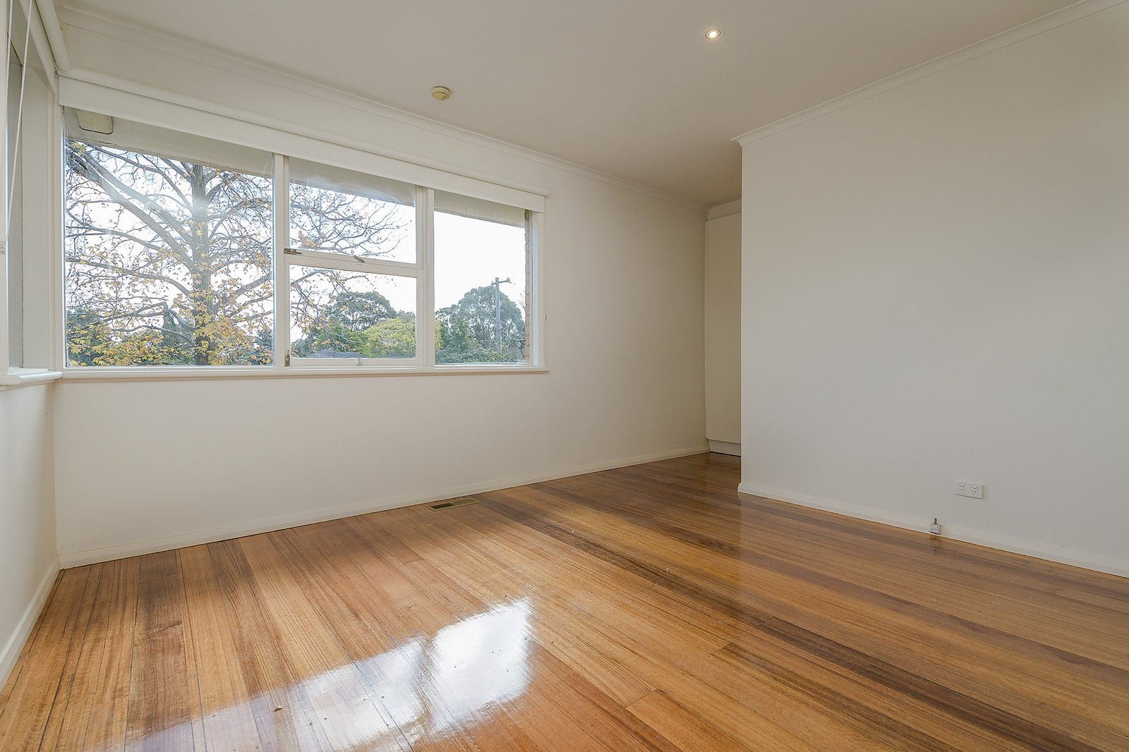 Real Estate and Property in 12 Lewton Road, Mount Waverley, VIC