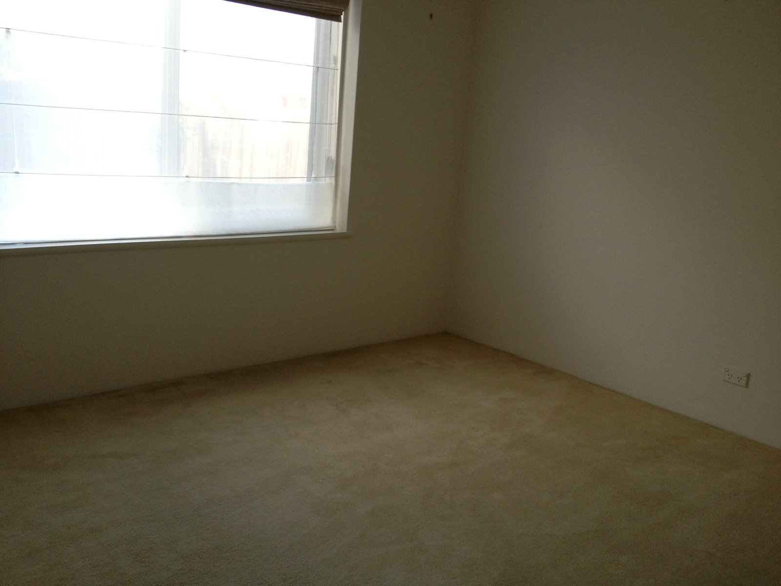 Gallery: 1/2 Lucy Street
