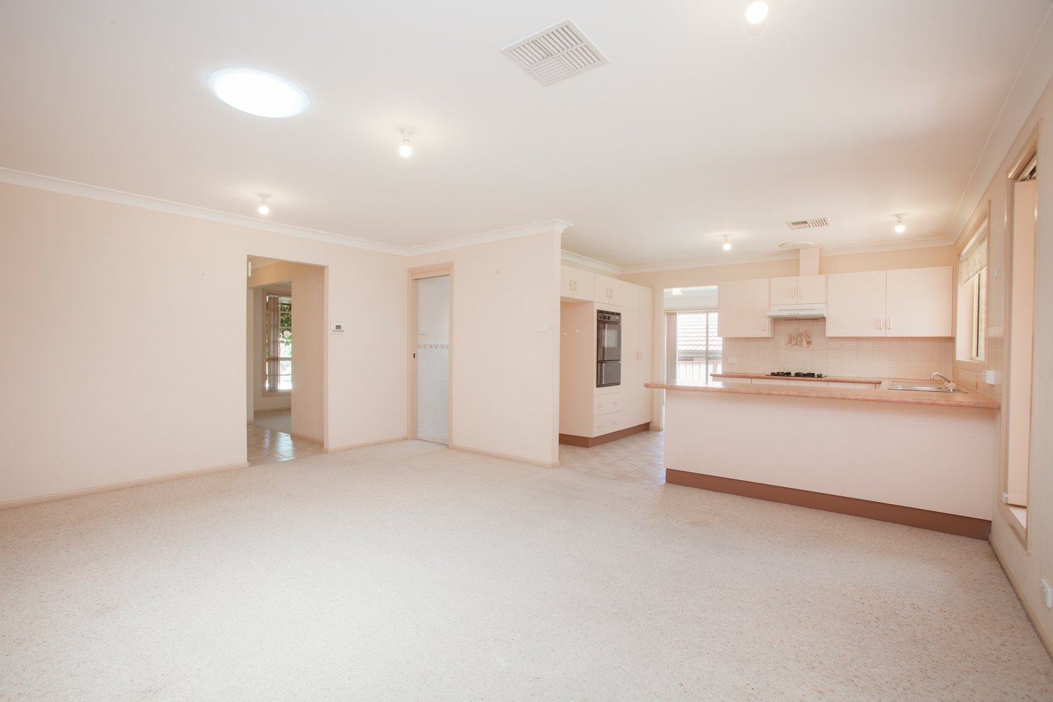 12 Luzon Street ASHTONFIELD 5