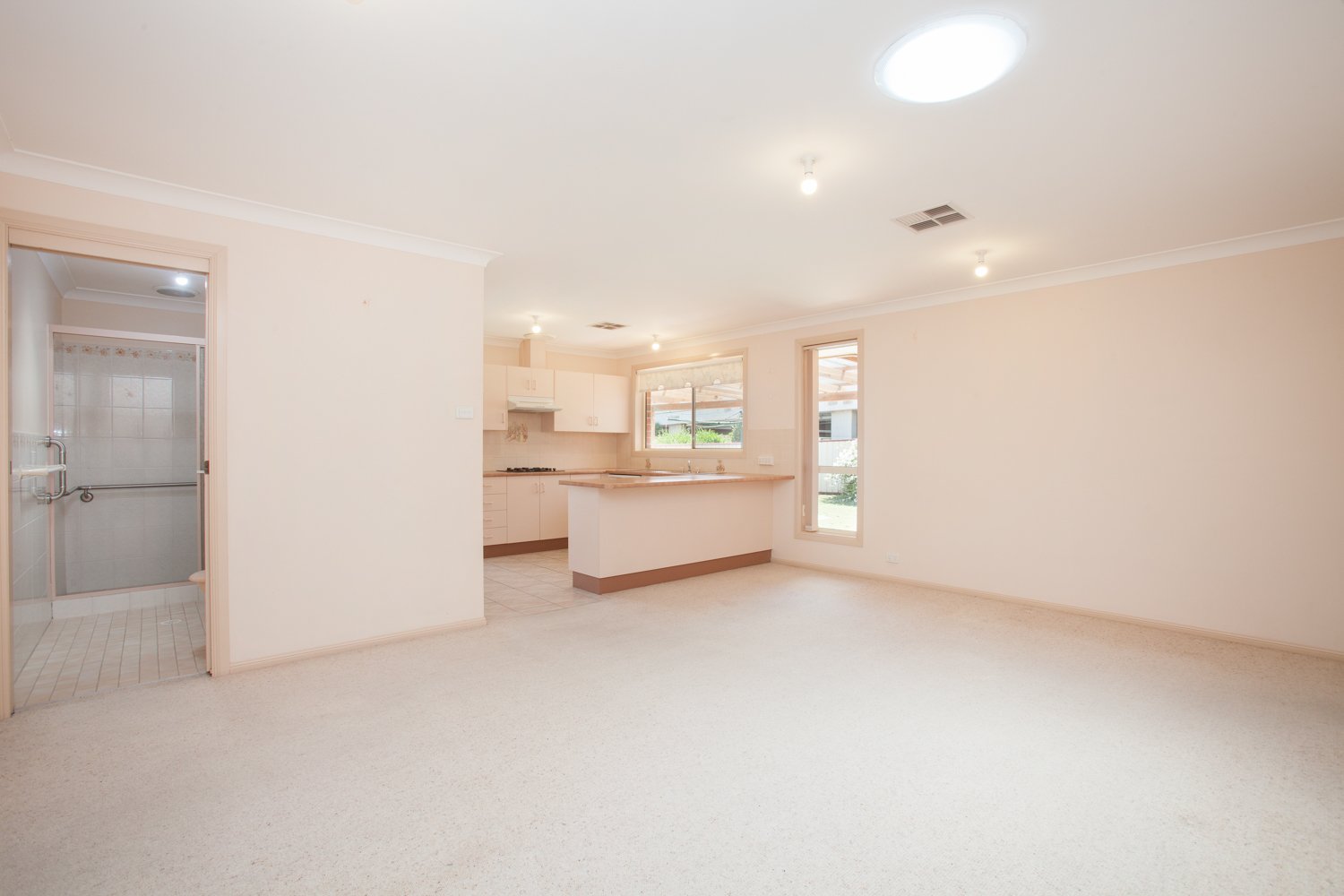 12 Luzon Street ASHTONFIELD 7