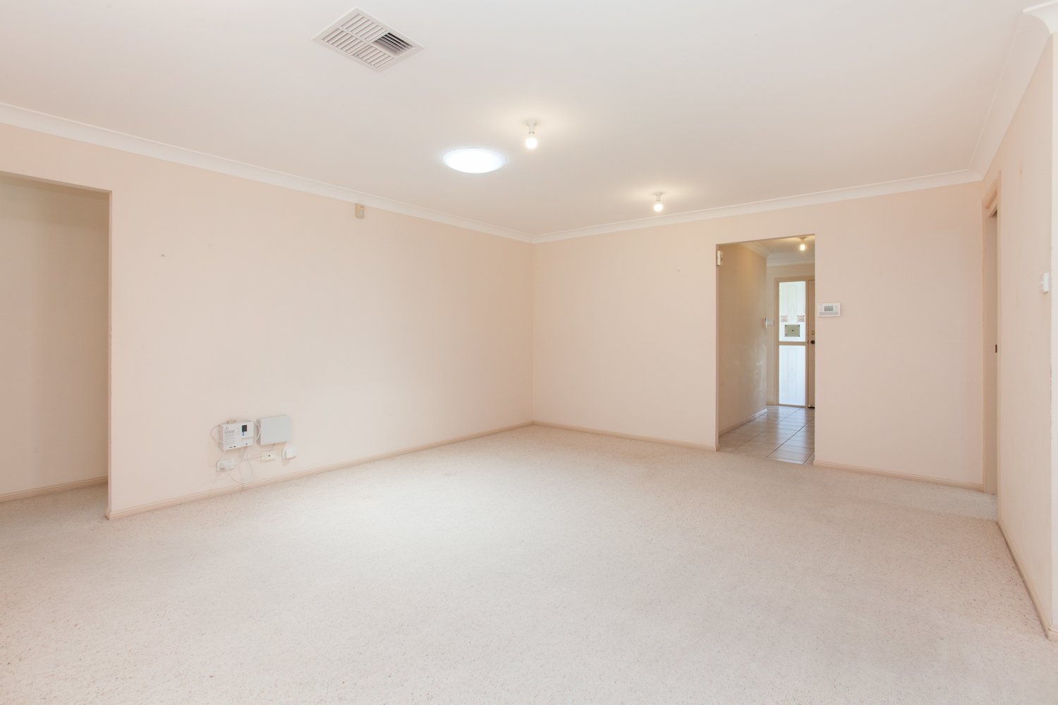 12 Luzon Street ASHTONFIELD 12