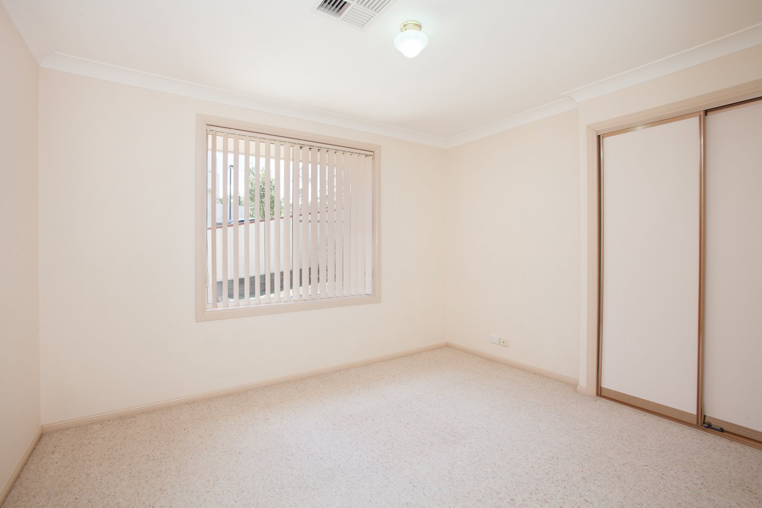 12 Luzon Street ASHTONFIELD 13