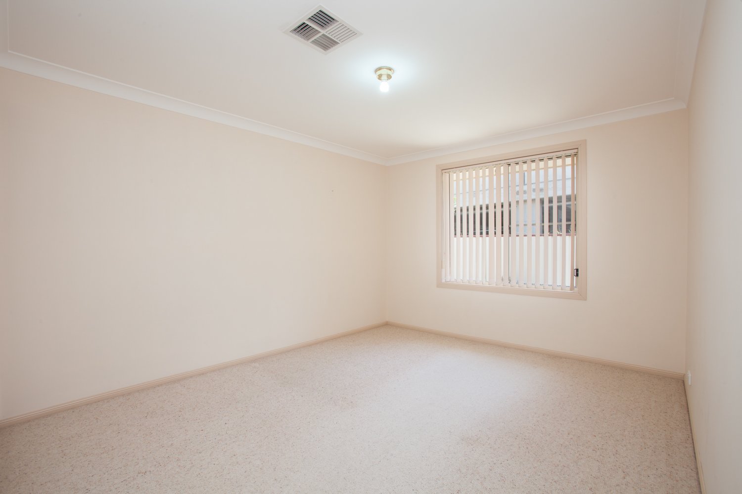 12 Luzon Street ASHTONFIELD 14